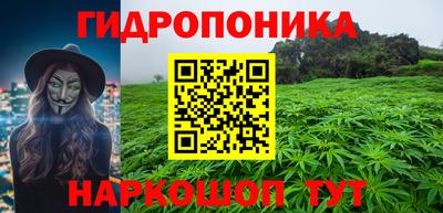 молекула духа Заводоуковск