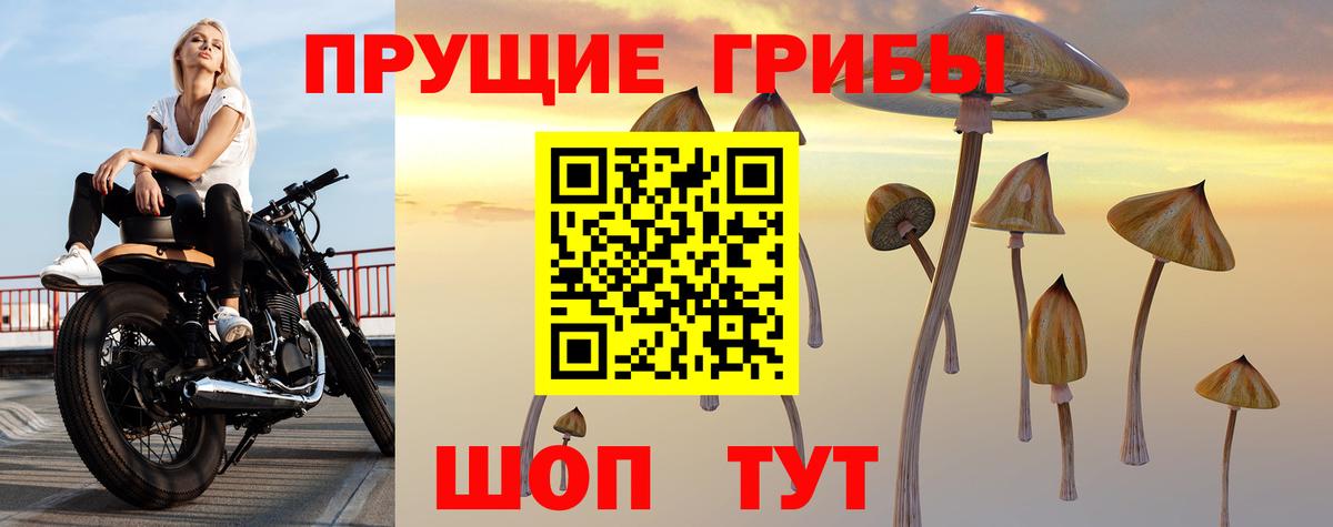 Псилоцибиновые грибы прущие грибы Красноярск
